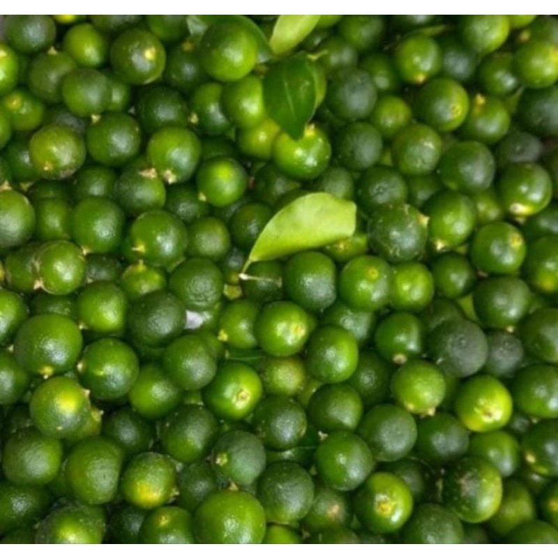 

es kasturi 1 kg