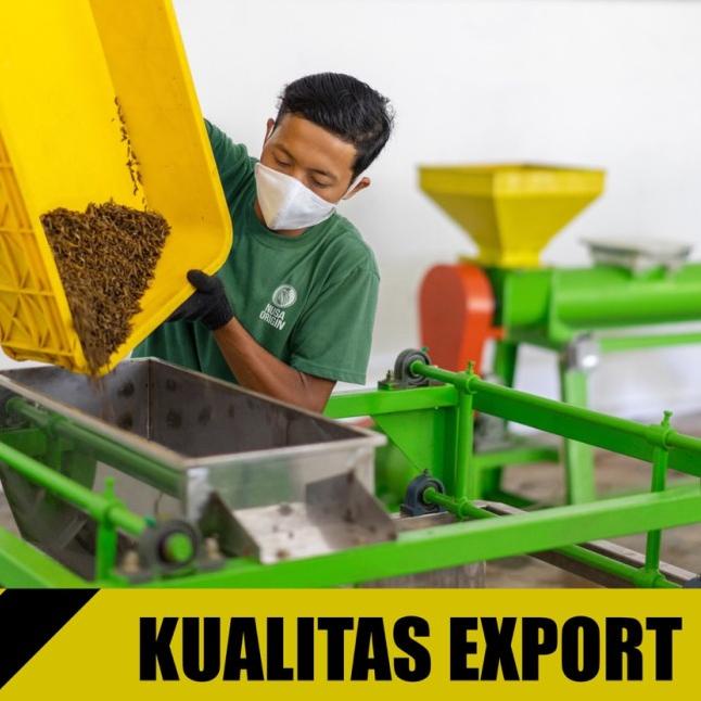 Maggot Nusantara Koi 500 Gr