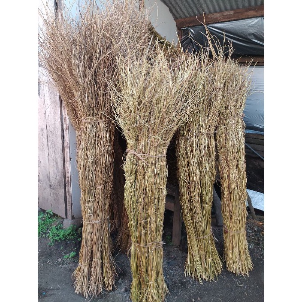 akar manon bahan dekorasi. akar manon 100batang