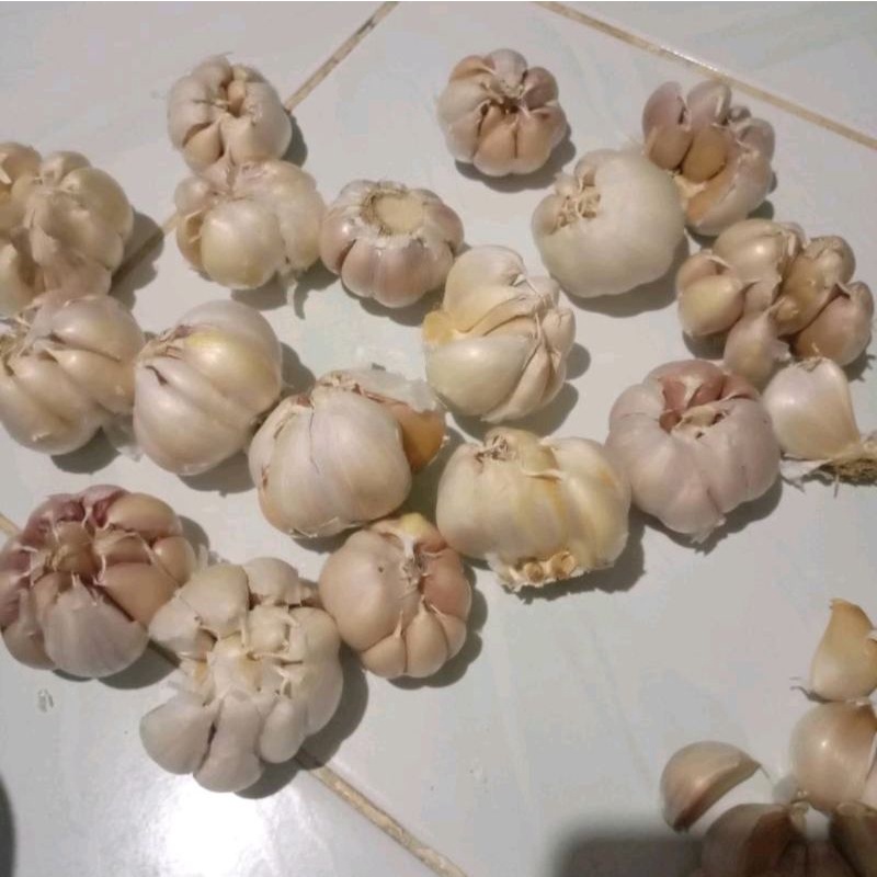 

BAWANG PUTIH BANCI HONAN BIASA 1 KG