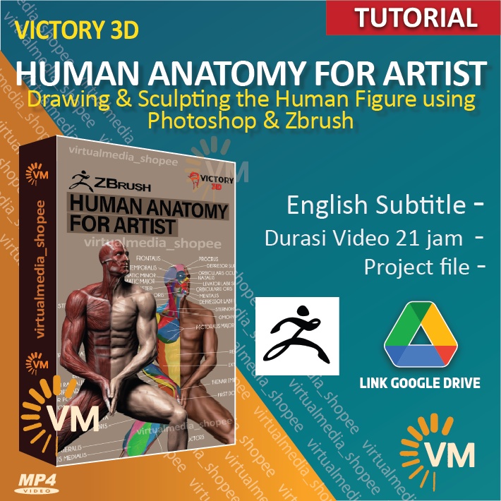 jual-tutorial-3d-human-anatomy-for-artists-drawing-sculpting-figure