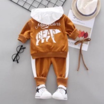 Setelan Hoodie anak laki-laki bahan babyterry usia 1 sampai 6 tahun pakai kupluk