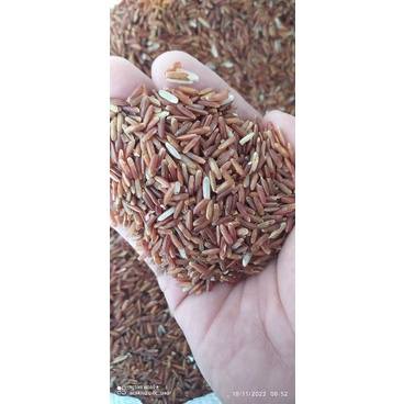 

beras merah organik 1.kg