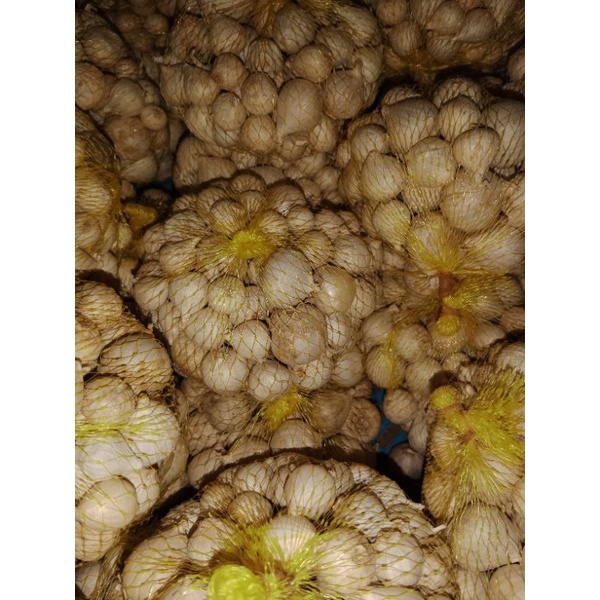 BAWANG PUTIH TUNGGAL KECIL