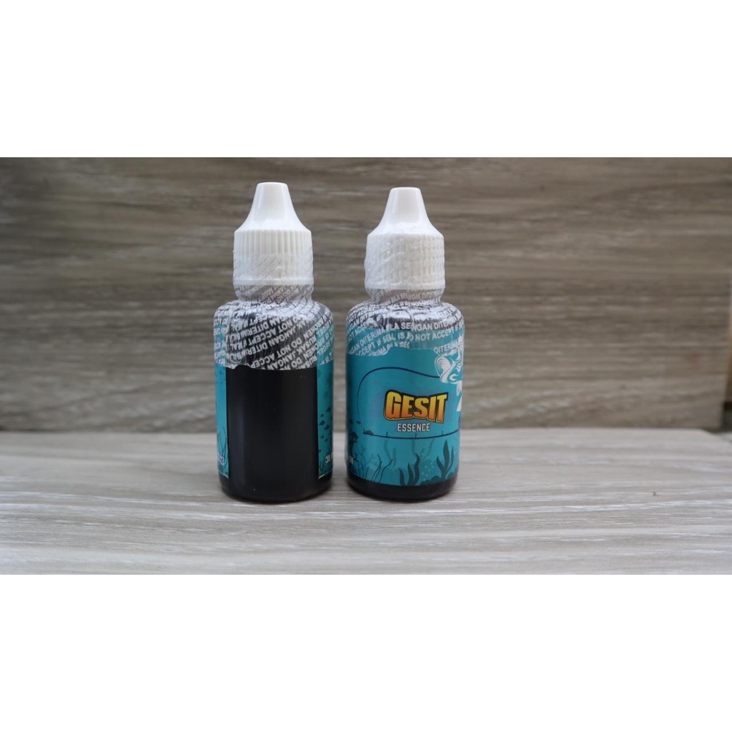 Essen Ikan Lele Untuk Mancing Harian Aroma Bulus Hitam