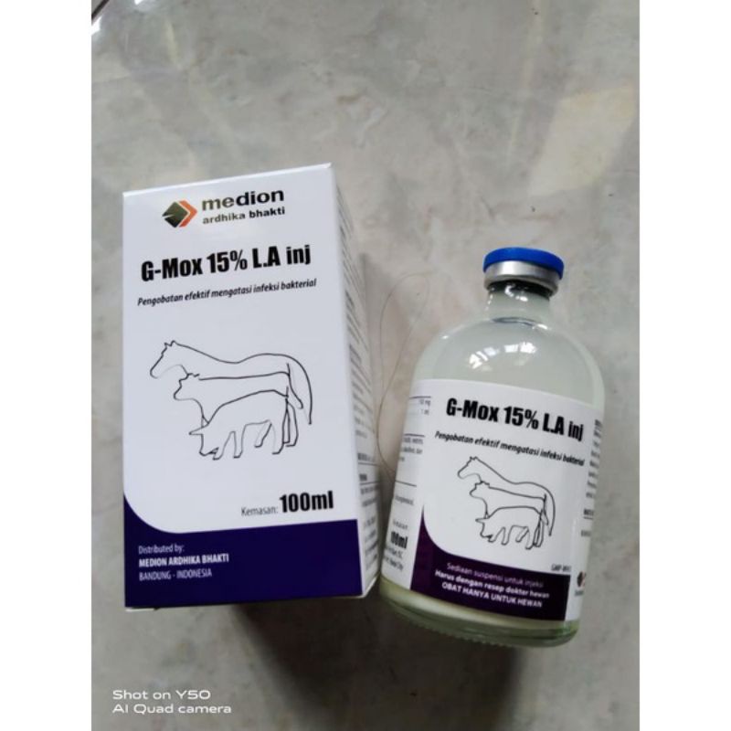 G MOX 15% LA INJEKSI // ANTI BIOTIK HEWAN // MEDION