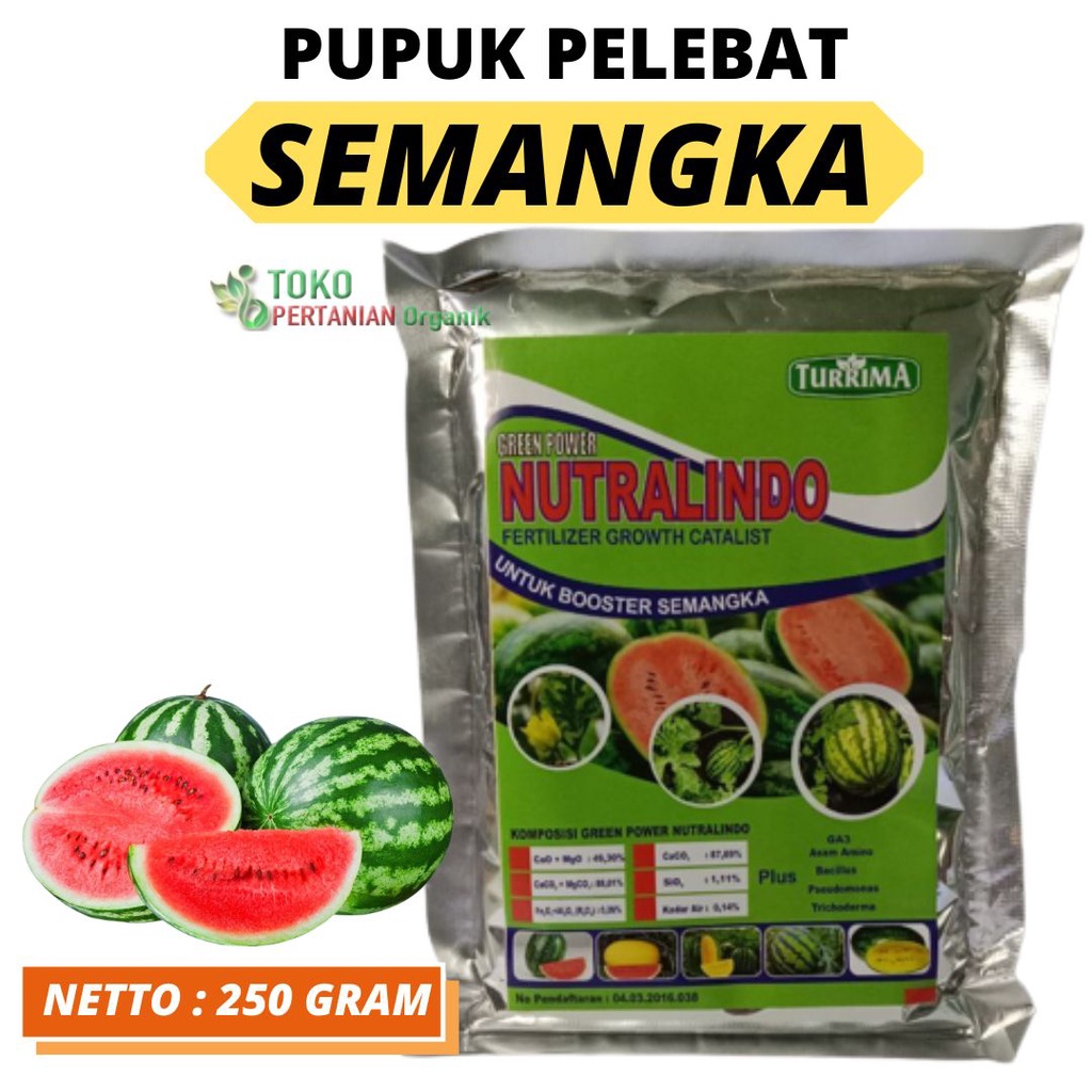 Pupuk booster semangka non biji berbuah lebat, NUTRALINDO Pupuk semangka inul, Booster Pupuk organik