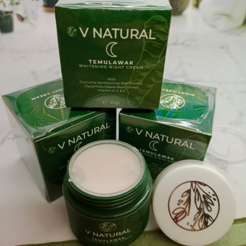 VNATURAL (5IN1 FACIAL FOAM) PAKET TEMULAWAK ORIGINAL BPOM V NATURAL 5IN1