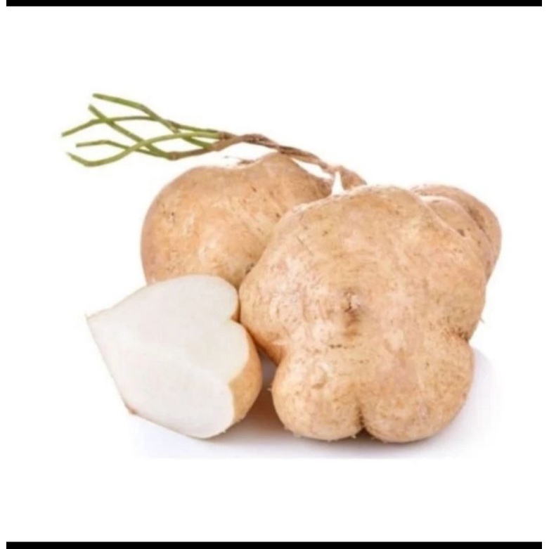 

Buah Bengkoang Fresh