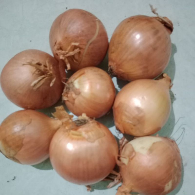 

BAWANG BOMBAY 500gr