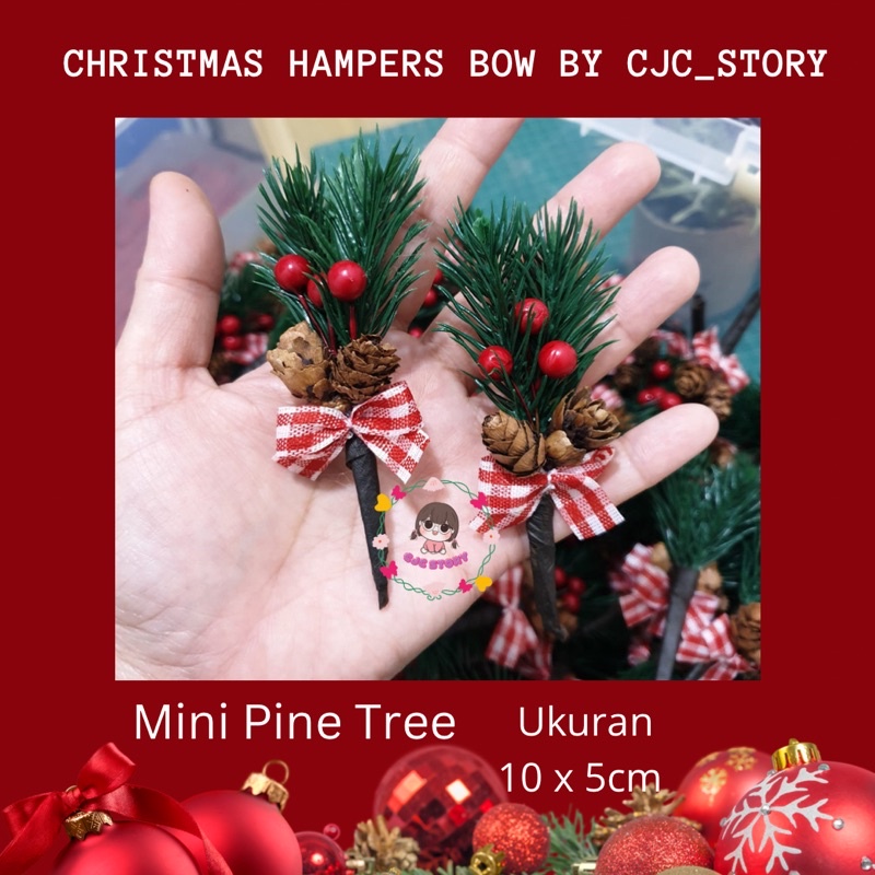 

1 pcs Mini Pine cone / aplikasi hampers siap pakai