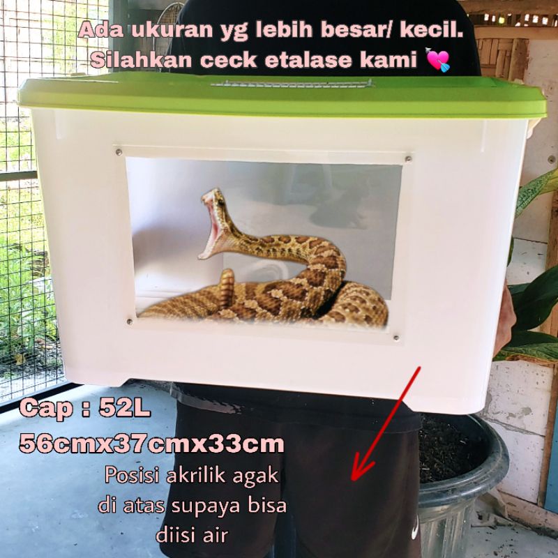 BOX Reptile | box Ular kandang Ular | Box reptil | kandang biawak Iguana | kandang landak mini | con