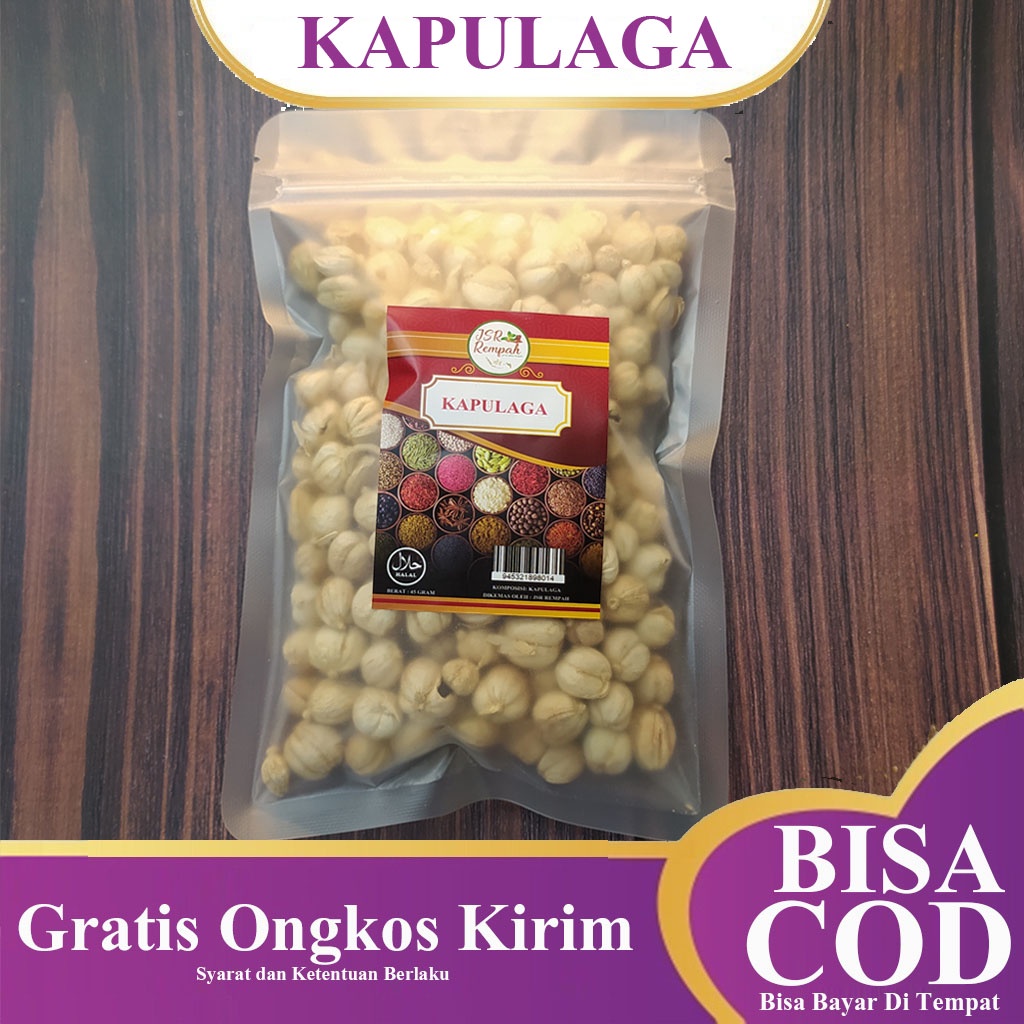 

Kapulaga Jawa / Kapol / Kapulaga / True Cardamom - By RAMUAN JSR
