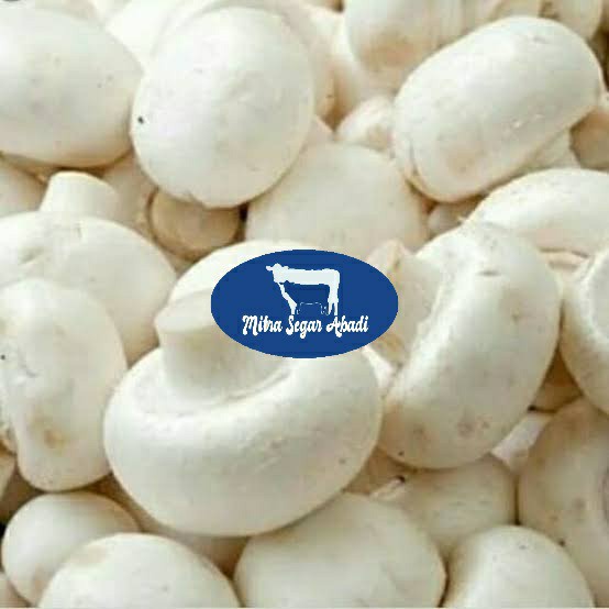 

Jamur Kancing Frozen @1kg