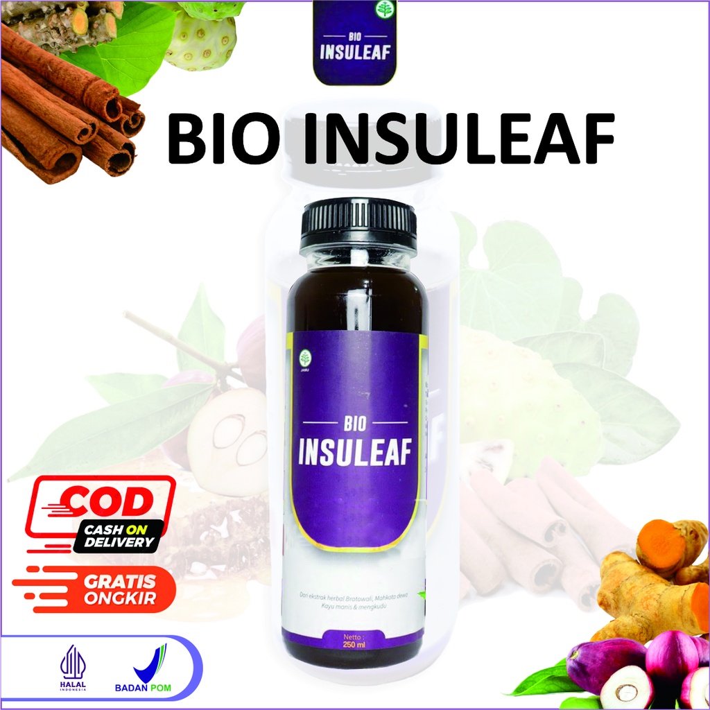 

BIO INSULEAF Herbal dengan Formulasi Mengkudu Kayu Manis Brotowali Atasi Diabetes Menurunkan Kolesterol