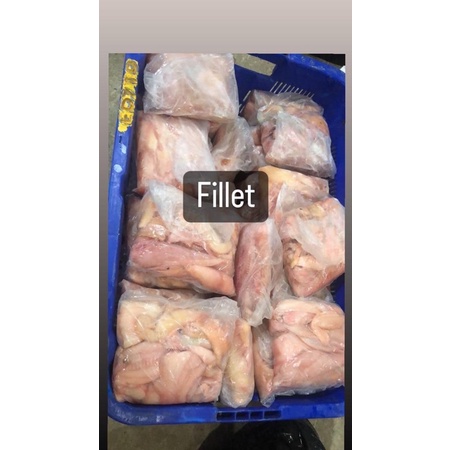 

Ikan Gabus FILLET Tawar / 1KG / Ikan Gabus Sungai FILLET