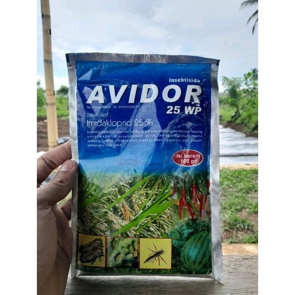 Avidor 25 WP