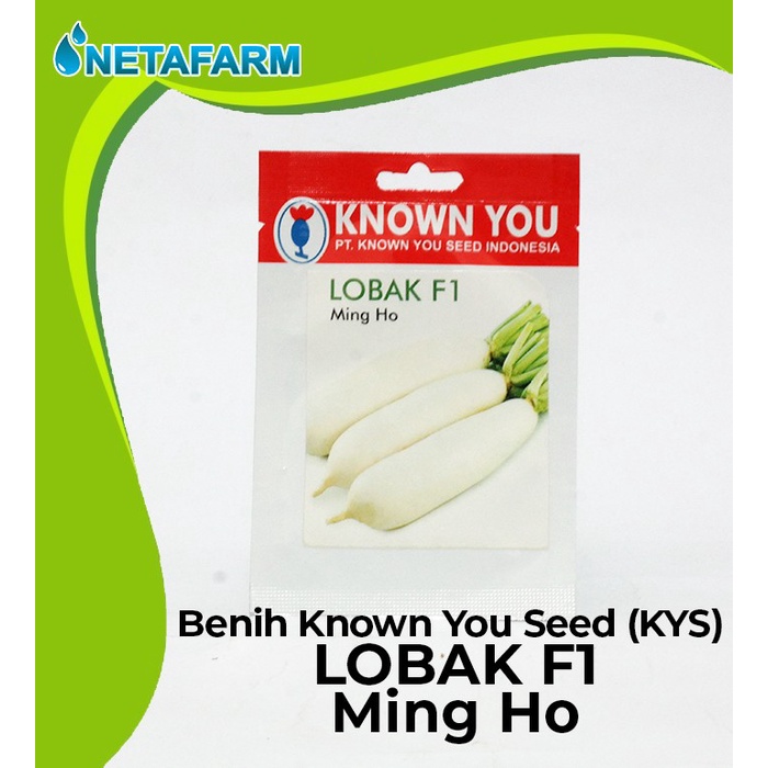 Benih / Biji / Bibit KNOWN YOU SEED KYS LOBAK F1 - 1 Pack