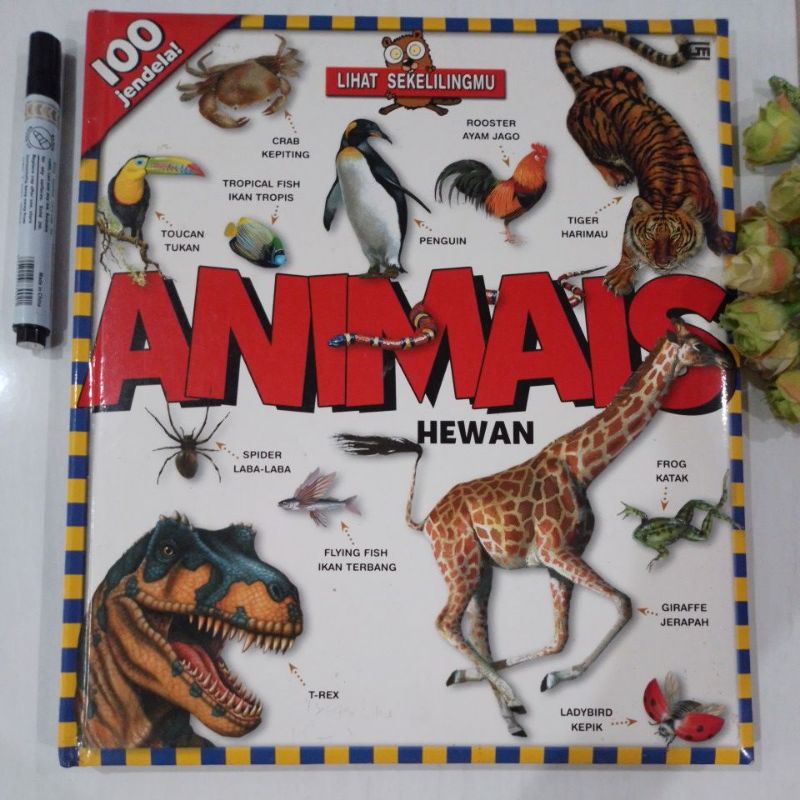 BUKU AKTIFITAS ANAK 100 jendela ANIMALS preloved ori