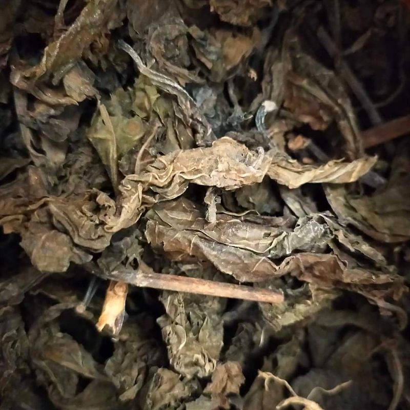 

Daun Ungu Kering/Handeuleum (30 Gram)