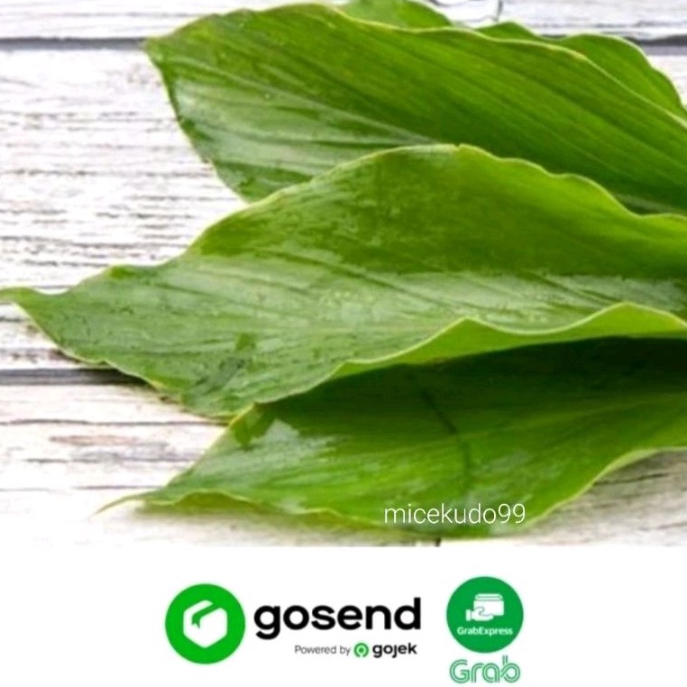 

DAUN KUNYIT ORGANIK SEGAR ORGANIC TURMERIC LEAF FRESH
