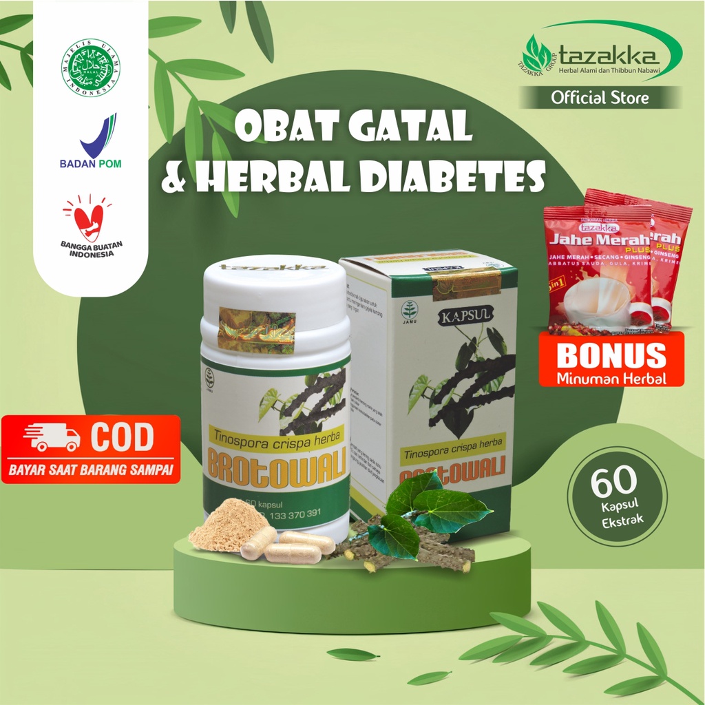 

Kapsul Jamu Brotowali Kering Bubuk Obat Gatal Original 100% Asli Tazakka Halal BPOM Isi 60 Extract Capsule Herbal Diabetes Paling Bagus Penurun Gula Darah Tinggi Penambah Nafsu Makan Anak Suplemen Kesehatan Antioksidan Vitamin Daya Tahan Tubuh Dewasa