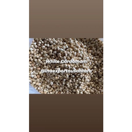 

KAPULAGA kapul White Cardamom