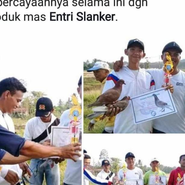 pil edan isi120 butir original merpati - Putih