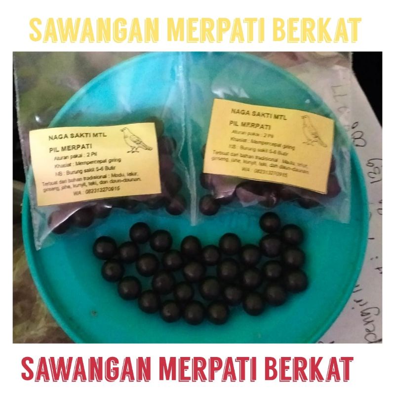 gingseng teki jamu keket stamina vitamin obat giring merpati