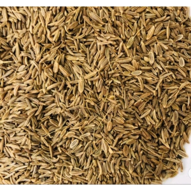 JINTAN (karaway seed) . bumbu masak 50 gr