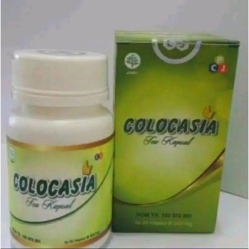 

colocasia