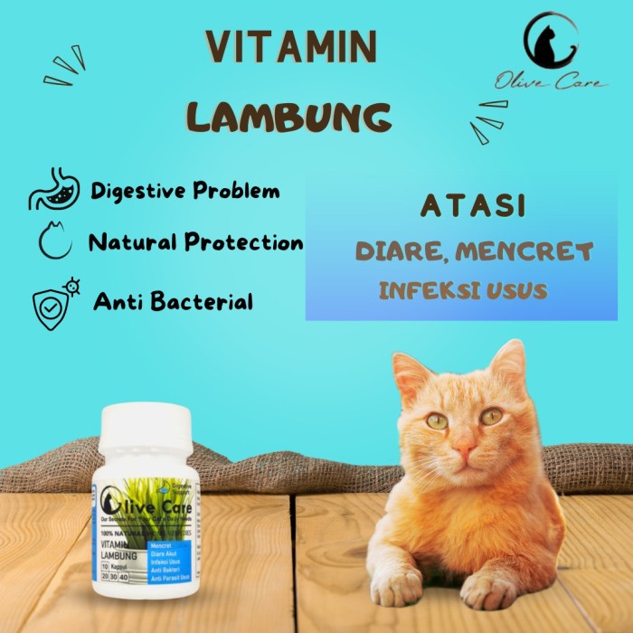 Vitamin Kucing Mencret , Diare Akut , Pup Berdarah , Radang Usus
