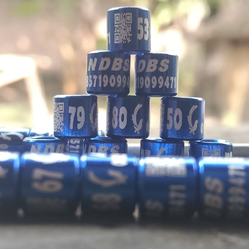 Ring burung laser barcode + logo / ring QR