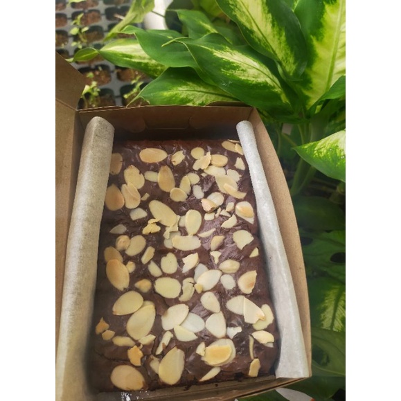 

Brownies panggang Fudgy brownies nyoklat banget murah ukuran 15x10