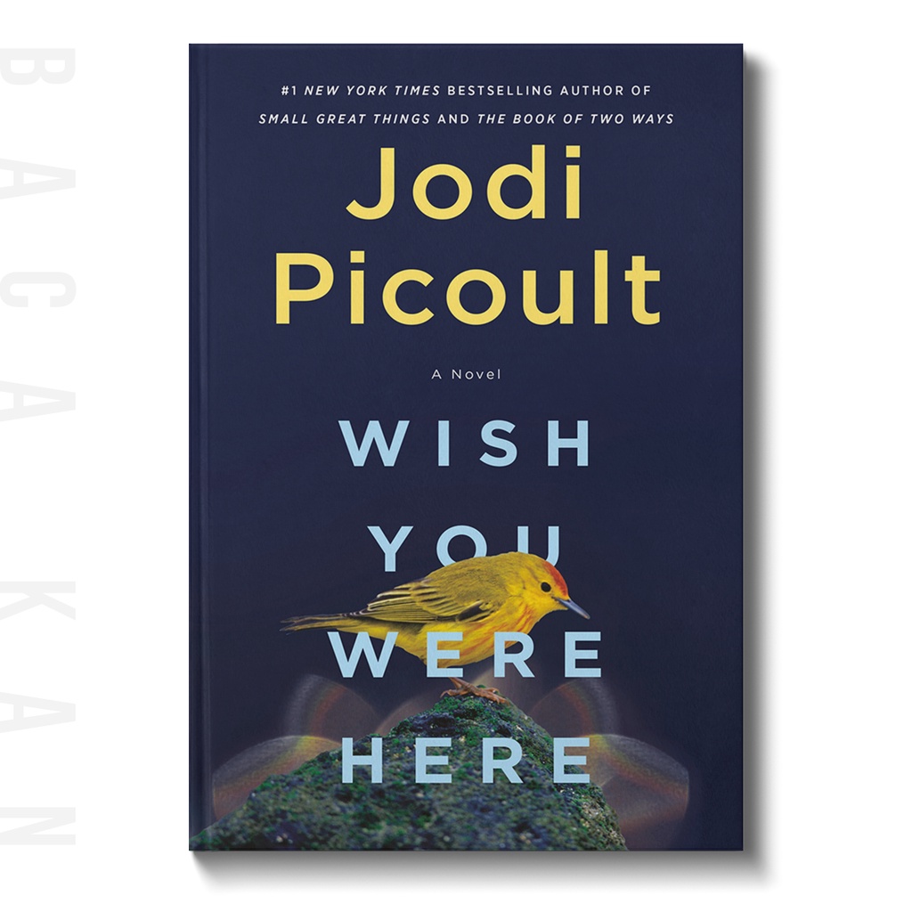 

Wish You Were Here - Jodi Picoult