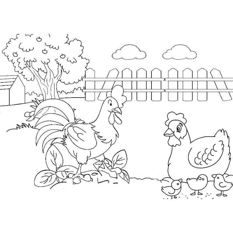 

Buku / lembar mewarnai gambar ayam