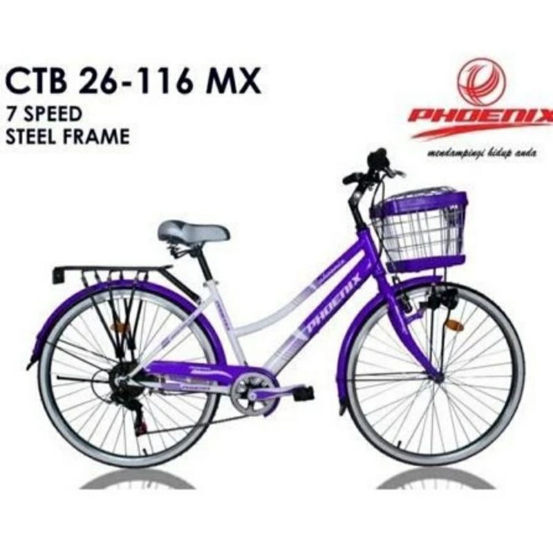 Sepeda keranjang Phoenix CTB 26 inch 116 MX