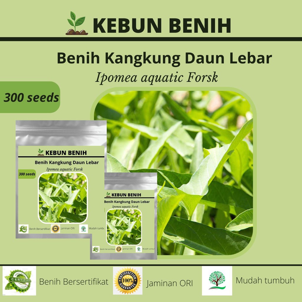 300 Benih Kangkung Daun Lebar BIKA Kualitas Unggul