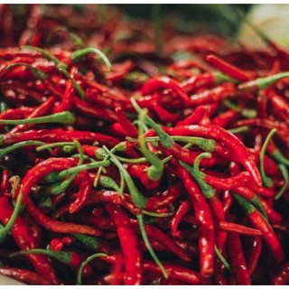 Benih Bibit Cabe Keriting 10 Benih Dua Ribuan PG SBY