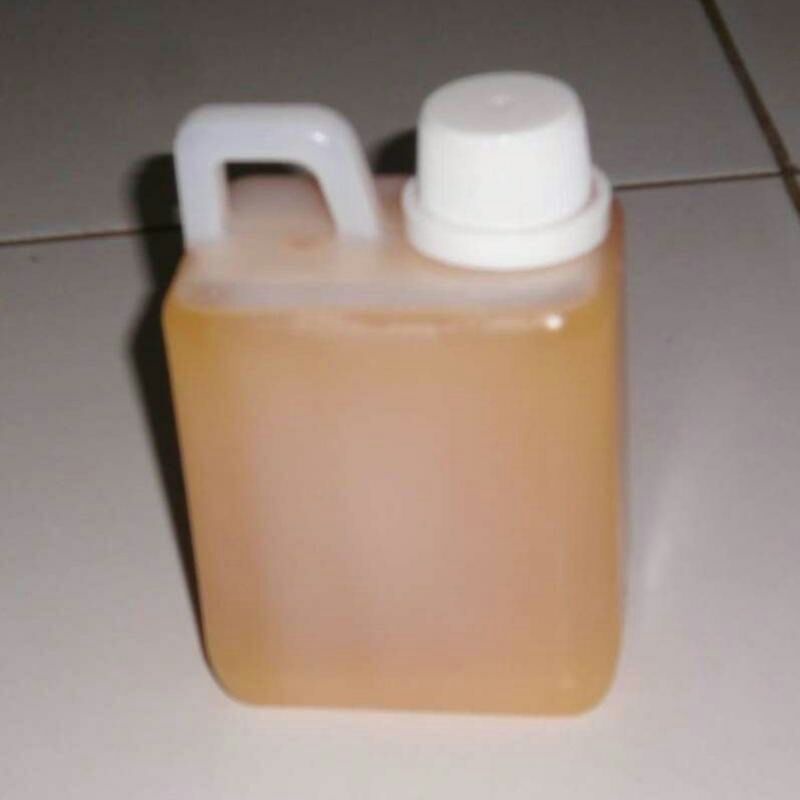 Minyak Bulus/Bidawang Original Asli100%Ukuran 1liter||Jamin Asli Tidak Asli Uang KEMBALI