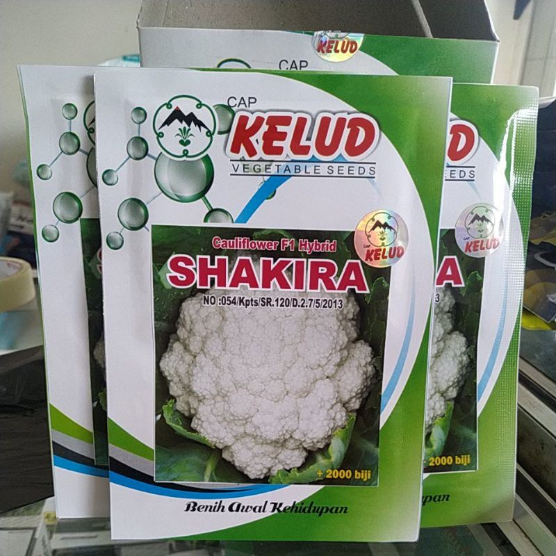 

bunga kol SHAKIRA kelud kemasan 10grm(±2000 butir)