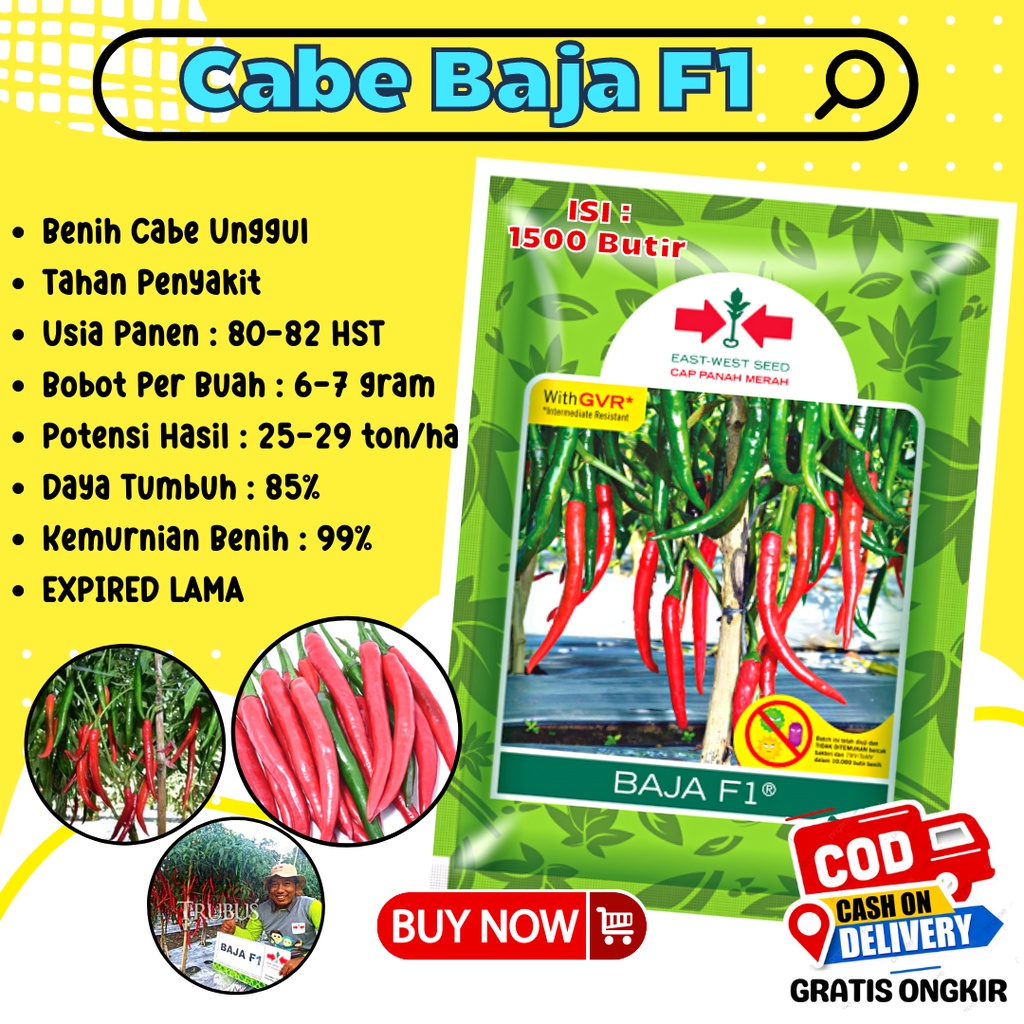 Benih Cabe Besar Cabe Baja F1 Cap Panah Merah Benih Lombok Cabai Besar Isi 1500 Butir / Benih Cabe B