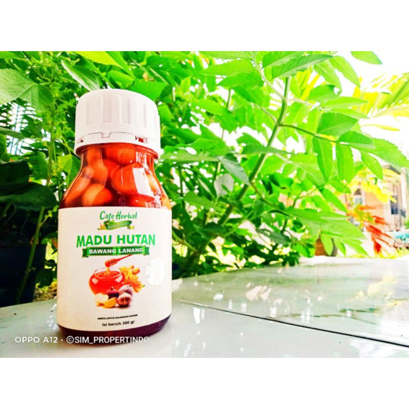 

Madu bawang lanang terbuat dari bawang lanang asli 100%
