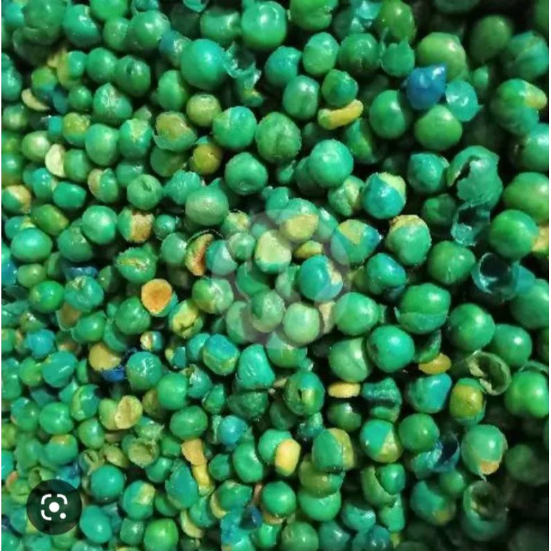 

kacang polong