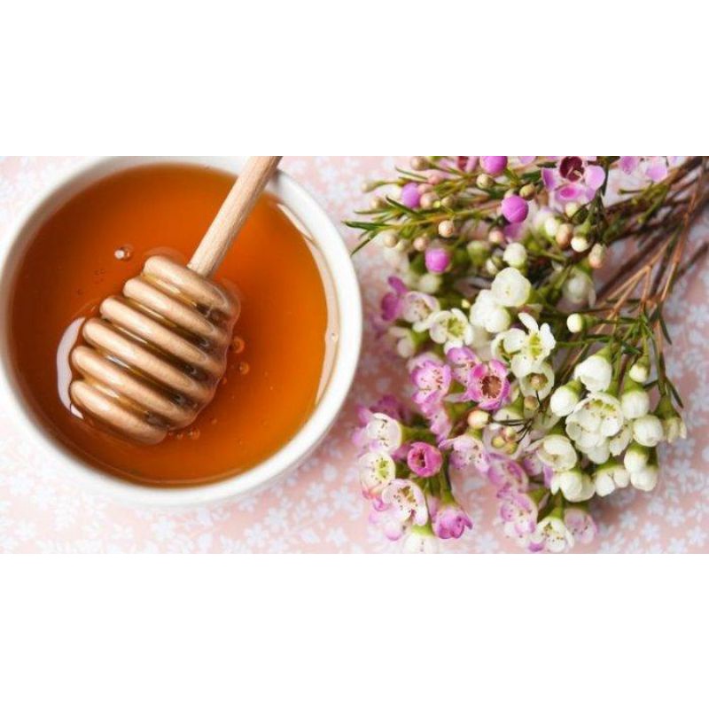 Madu Hutan Asli / Pure Raw Honey (500 gram)