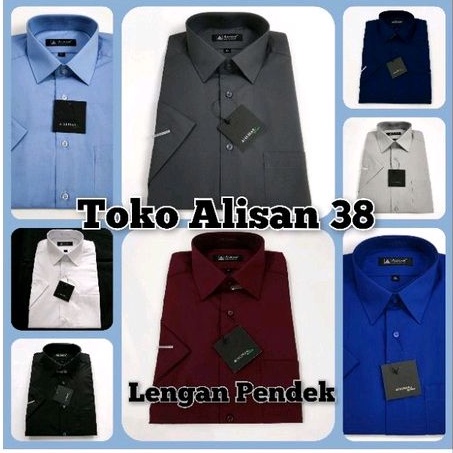 Alisan Polos Regular Lengan Pendek