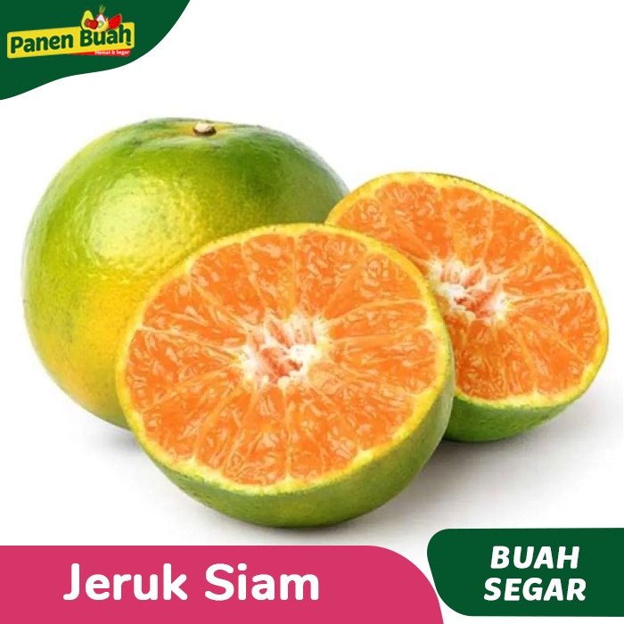

Jeruk Siam 1 KG
