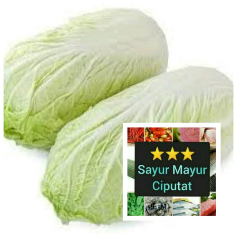 

sawi putih fresh