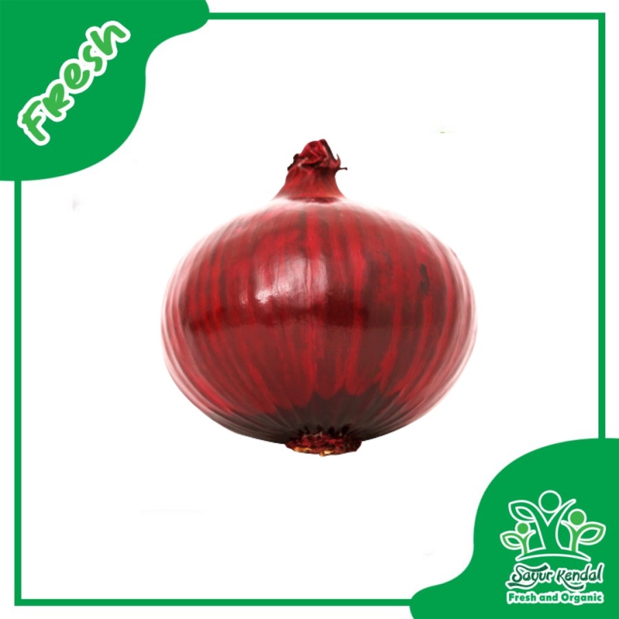 

Bawang Bombay Merah - Sayur Kendal