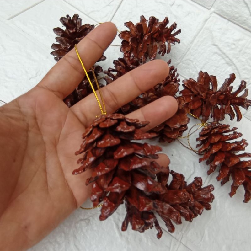 1 Pcs Buah Pinus Salju Tali atau Vernis Sedang Murah Hiasan Natal Christmas Assesories Decoration Proferty Photo Booth Dekorasi